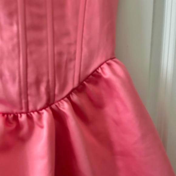 PLT pink corset dress - Picture 4 of 4